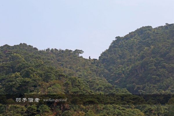 居于涟岸隐于湖，到肇庆体验离尘不离城的精致慢生活