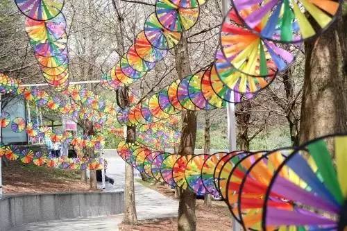 周末特色旅游景点推荐沈阳,沈阳周末好去处长白岛森林公园