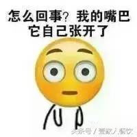 美食界大事件,美食界大结局