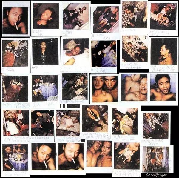 宝丽和宝丽来,宝丽来故事