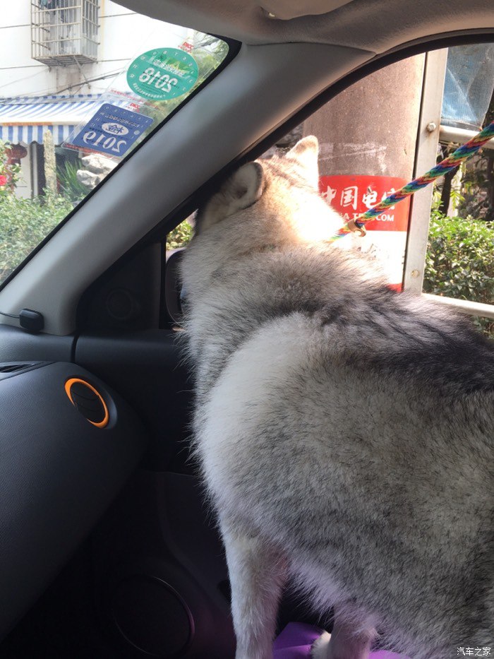 16款雨燕迷你,16款雨燕自动时尚酷玩版