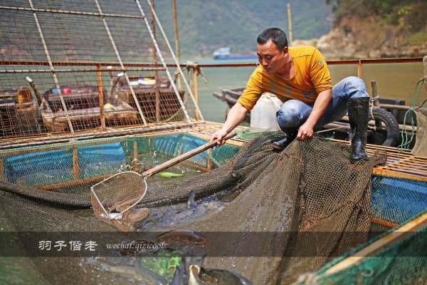 居于涟岸隐于湖,到肇庆体验离尘不离城的精致慢生活