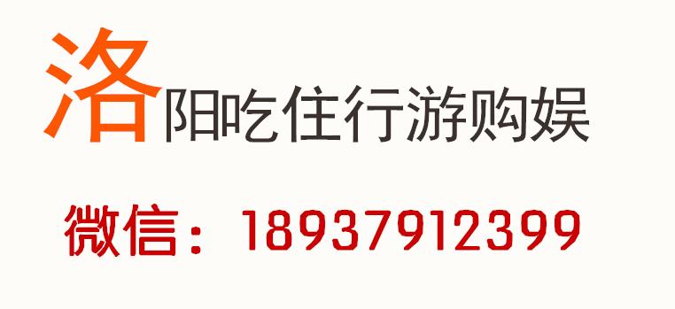 洛阳第一届牡丹花会是哪一年,洛阳牡丹花会营业时间