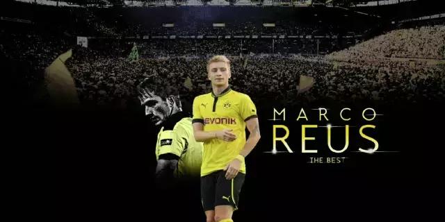 多特蒙德队徽带狮子图案的壁纸,多特蒙德壁纸高清全面屏