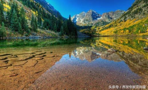 解决白发,解决白发视频