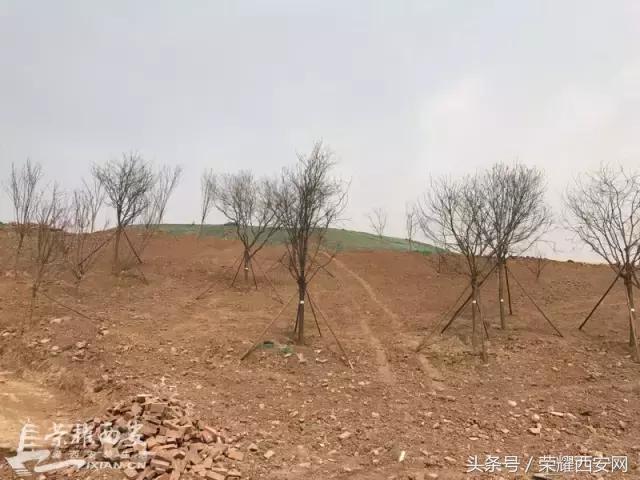 潏河湿地公园最新进度,潏河湿地公园还修吗