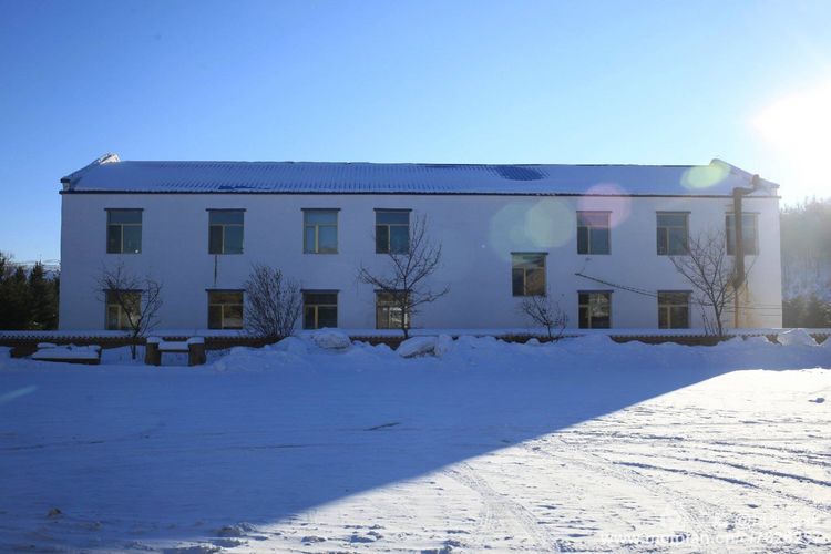 白狐千年等待只为今生相遇,白狼一生只爱一人