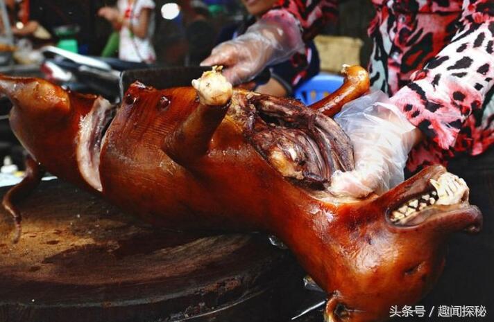 越南狗肉一条街,越南狗市全过程