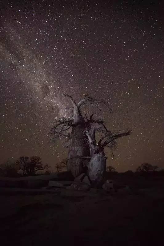 怎么拍出来照片和油画一样,拍照拍出油画质感