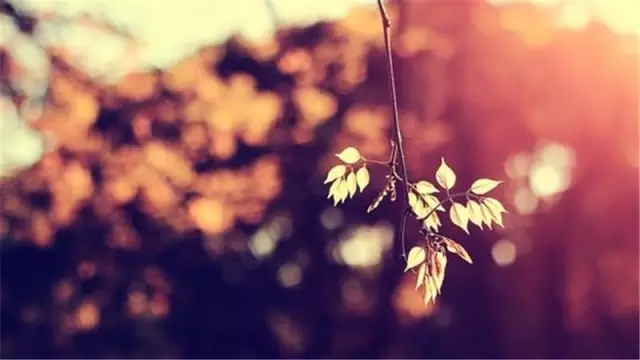 她25岁给人当后妈，后来离开福清去了台湾……