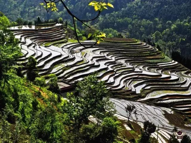 四峨梯田徒步,成都九月四姑娘山徒步一日游