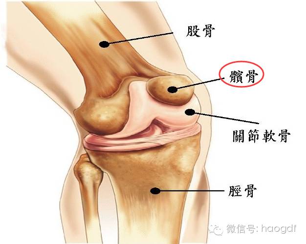 96岁国医长寿秘诀,老中医养生秘方大全图片