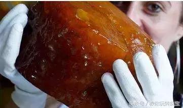 俄罗斯发现“龙血”琥珀，3公斤就卖上千万！