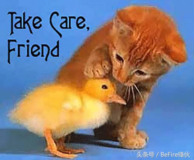 潜伏在身边的安全隐患,警惕福利陷阱