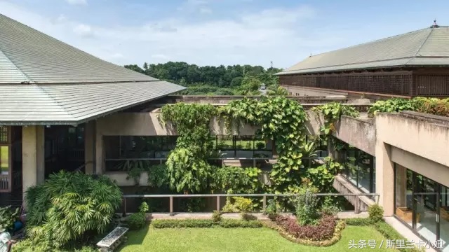 富二代、终身未婚、同性恋……这位混血锡兰人是“斯里兰卡之光”