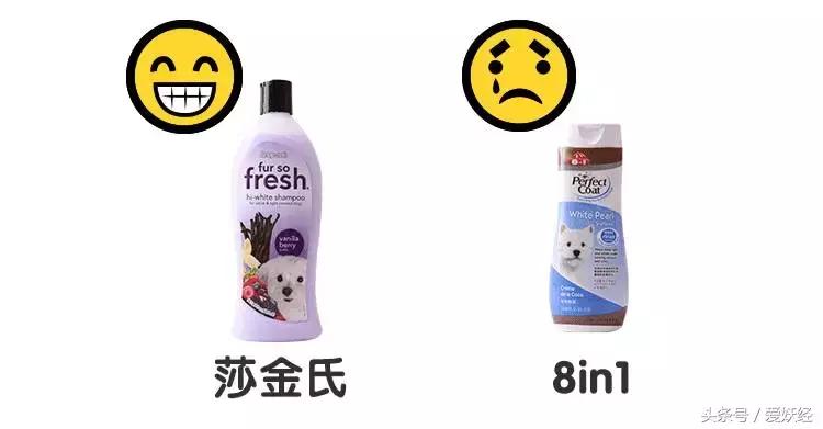 宠物香波哪个好用,什么宠物香波好用