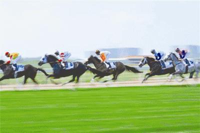 成都国际级体育赛事,2024成都有什么大型体育赛事