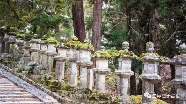 拉面 · 自动贩售机 · 雪｜云之彼岸的日本欢脱之旅