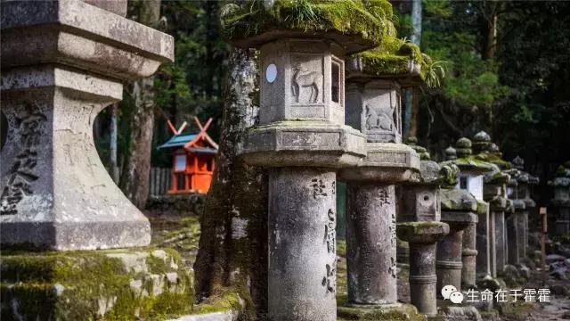 拉面 · 自动贩售机 · 雪｜云之彼岸的日本欢脱之旅