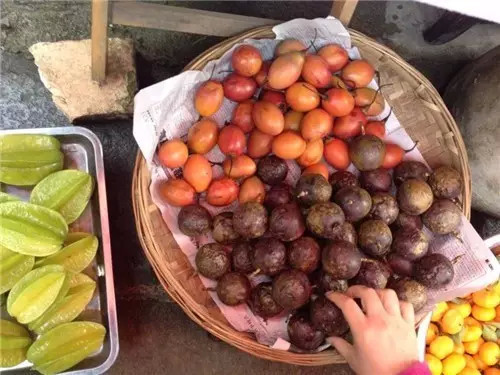 西双版纳旅游好吃的,西双版纳旅游好吃的水果