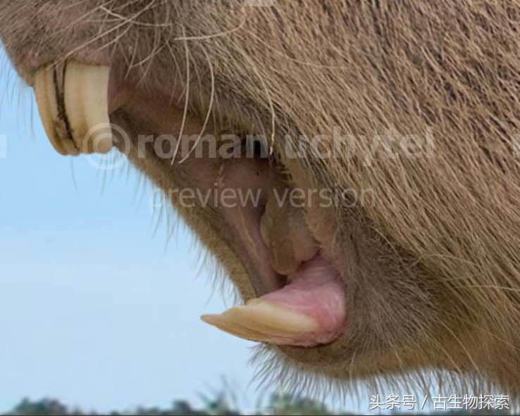 历史上几百万年前南美洲巨鼠,史前生物巨鼠