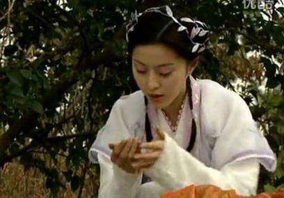 陆毅少年包青天简介,陆毅版包青天的主要演员名单