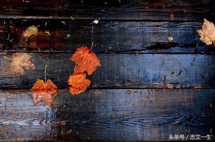 幼儿写字的轻音乐完整版,写字放松优美的轻音乐