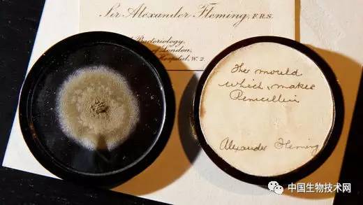 弗莱明的古董霉菌卖了$15000