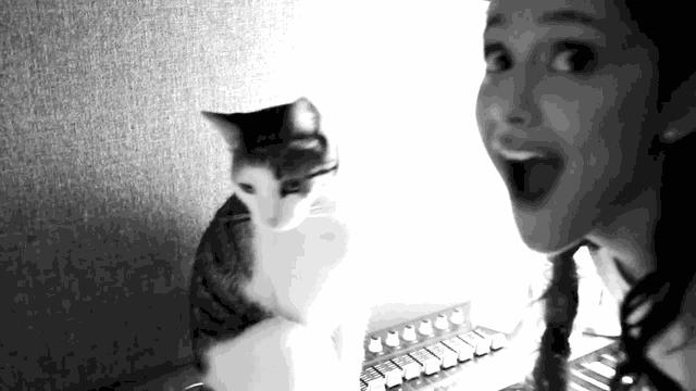 猫咪是高冷的还是粘人的,猫咪是高冷萌化吗