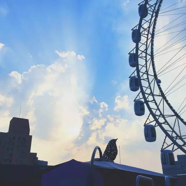 单身狗慎入!在上海,小伙谈恋爱要带女朋友去做……