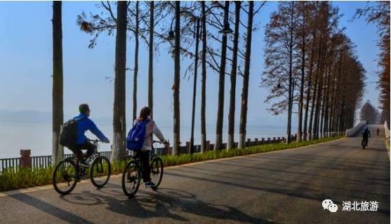 东湖绿道周末人挤人,东湖绿道堵车