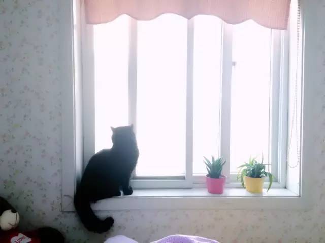 南京春天适合孩子玩的地方,南京情侣适合玩的地方旅游攻略