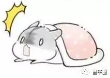 探路者清仓特价直播,探路者2-5折特卖会