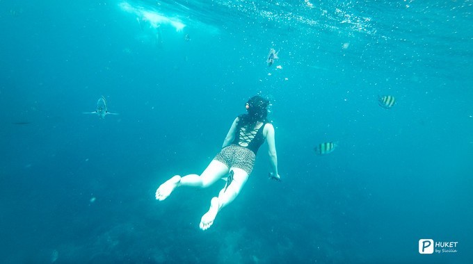 每当海岛又下起了雨,每当海岛又下起了雨读书笔记