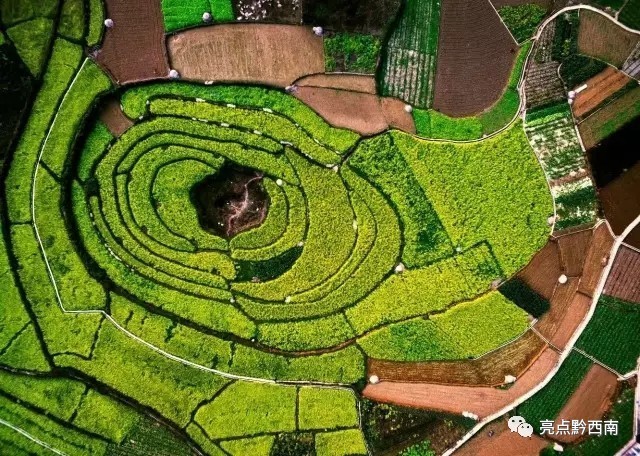 贵州万峰林油菜花怎么玩,贵州万峰林最美油菜花视频