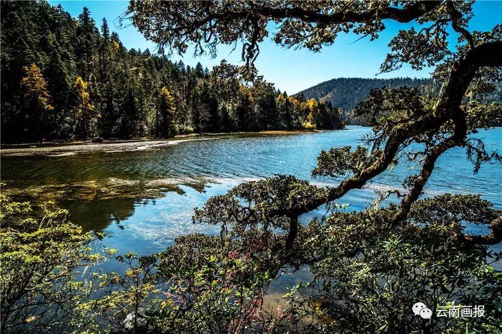 云南省什么地方风景区最好,云南生态环境最好的地方