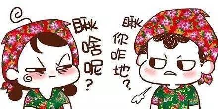 我大黑河的东北话，就是这么搞siào！