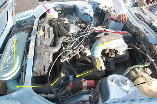 阿曼日记本,阿曼日记