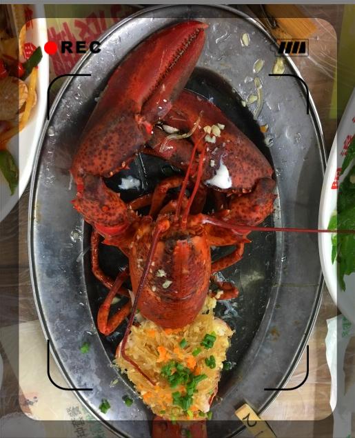 老海骑行海南,骑行海南与星辰大海相遇