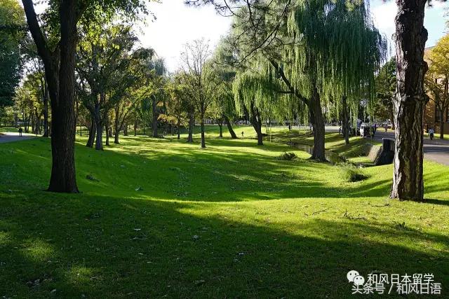 颜值与实力兼备高校,北大为何这么强大