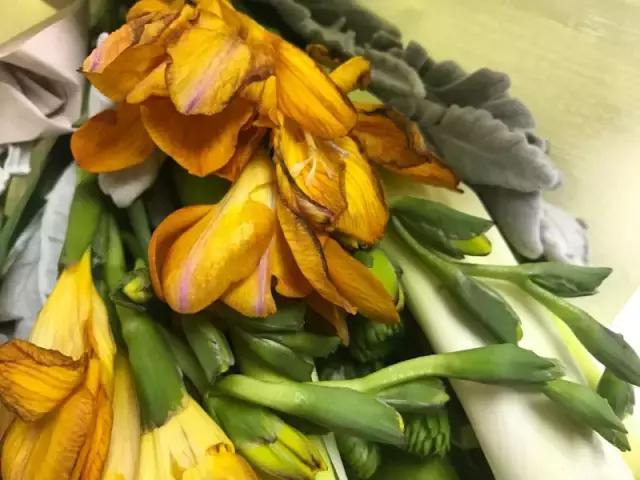 成都鲜花包月99每月4次,花费上万测评1个月