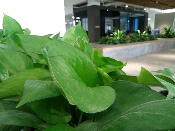 千元机快充大运存魅蓝5s手机评测