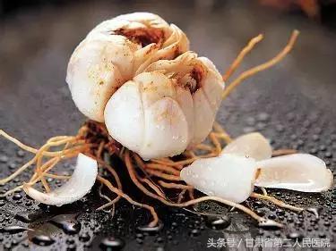 岭南名医咳嗽验方,虚劳咳嗽药膳方剂