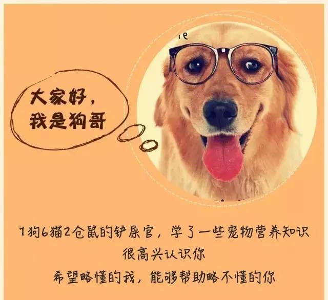 洁尔阴洗液宠物,妇炎洁宠物能用吗