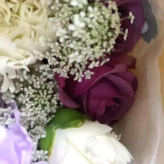 我们用1000元的教训告诉你:包月鲜花全是坑!一家都不推荐!