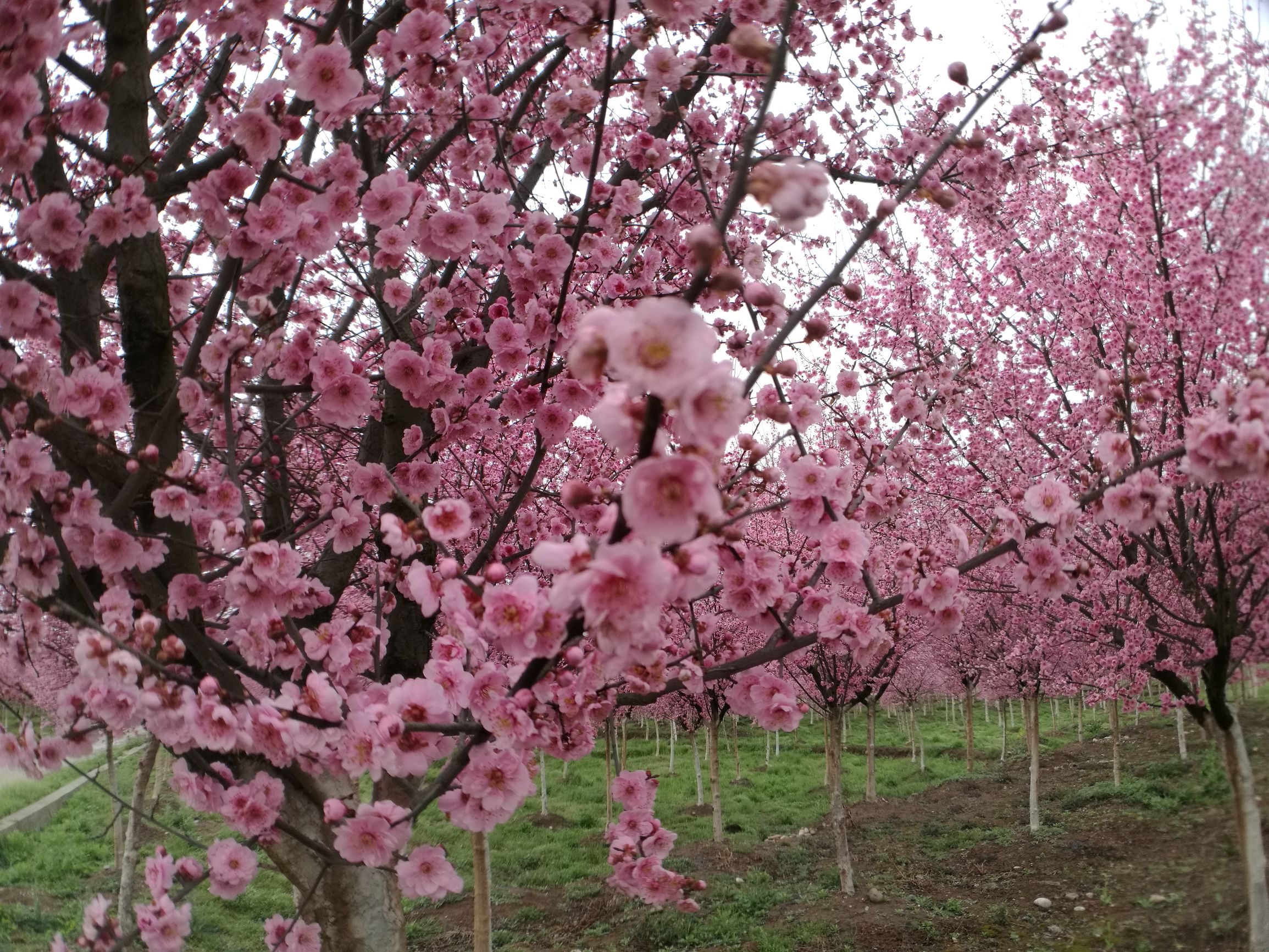 第三天，错过宿营地！「千里走单骑X2」零经验骑行者的日记！