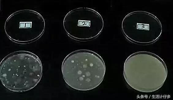 回南天是如何产生霉菌的,回南天霉菌