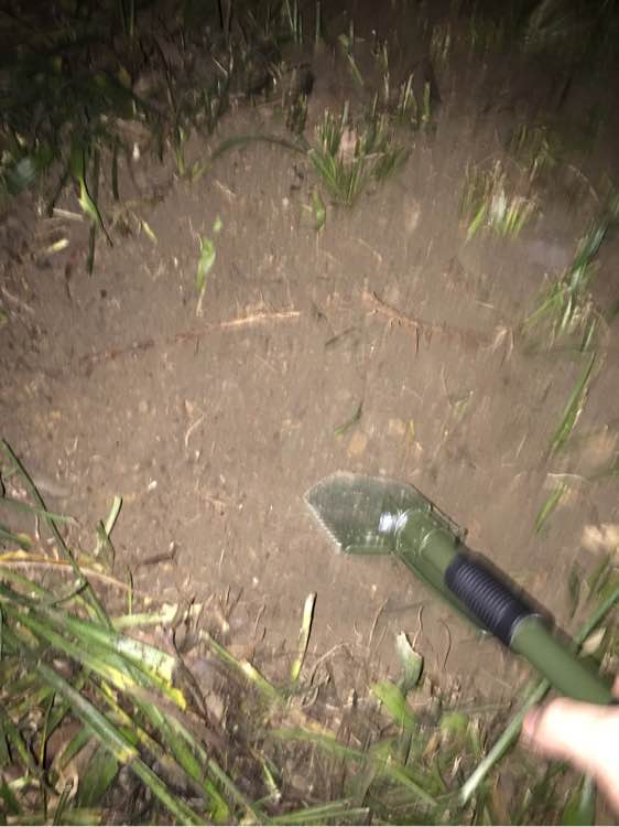 陪伴6年的狗因病失明,陪伴很久的狗狗去世了