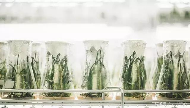 职场经验差怎么办,职场工作经验和教训