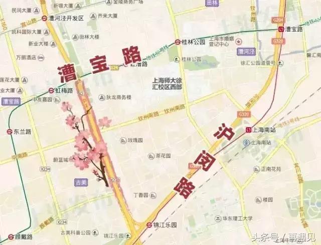 樱花季攻略,樱花季攻略赤丸